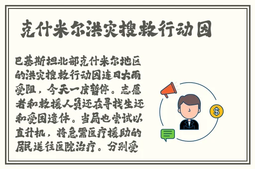 猫咪mv最新地域网名怎么取